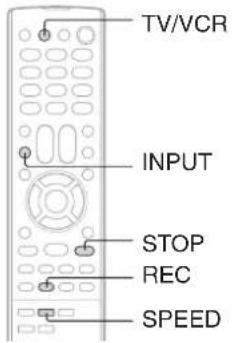 TV/VCR INPUT STOP REC SPEED