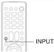INPUT