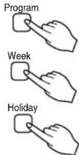 Program Week Holiday
