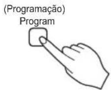 (Programação) Program