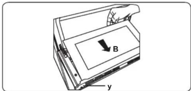 B y