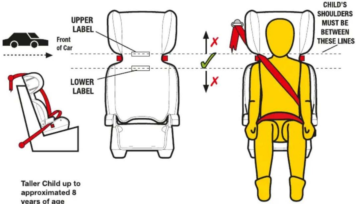 UPPER LABEL Front of Car LOWER LABEL CHILD'S SHOULDERS MUST BE BETWEEN THESE LINES Taller Child up to approximated 8 years of age