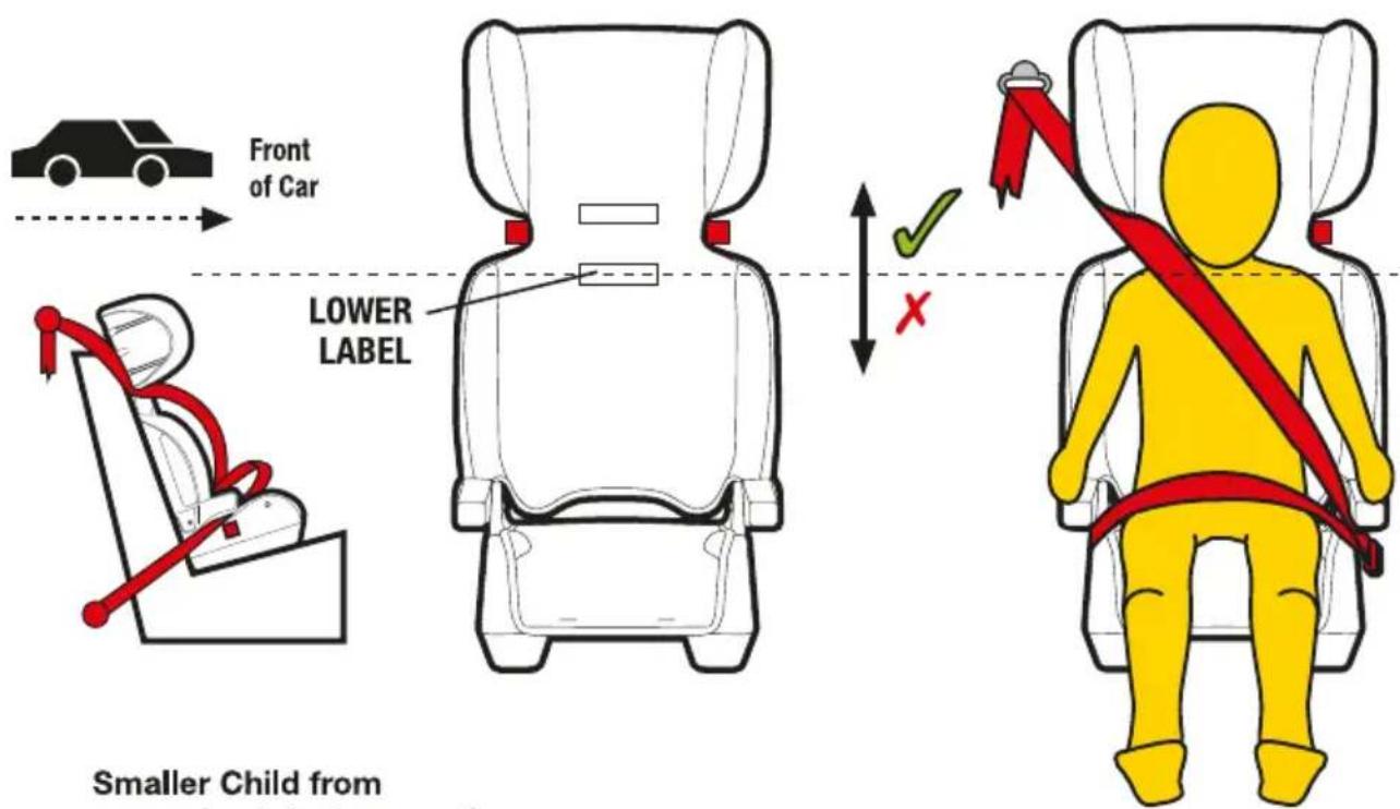 Front of Car LOWER LABEL Smaller Child from