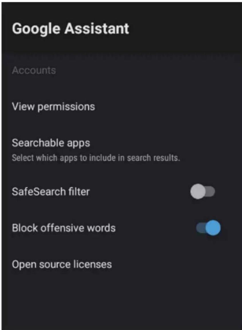 Google Assistant Accounts View permissions Searchable apps Select which apps to include in search results. SafeSearch filter Block offensive words Open source licenses