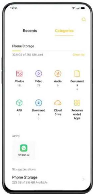 Realme Q3 Pro Special - Folder Manager - 1
