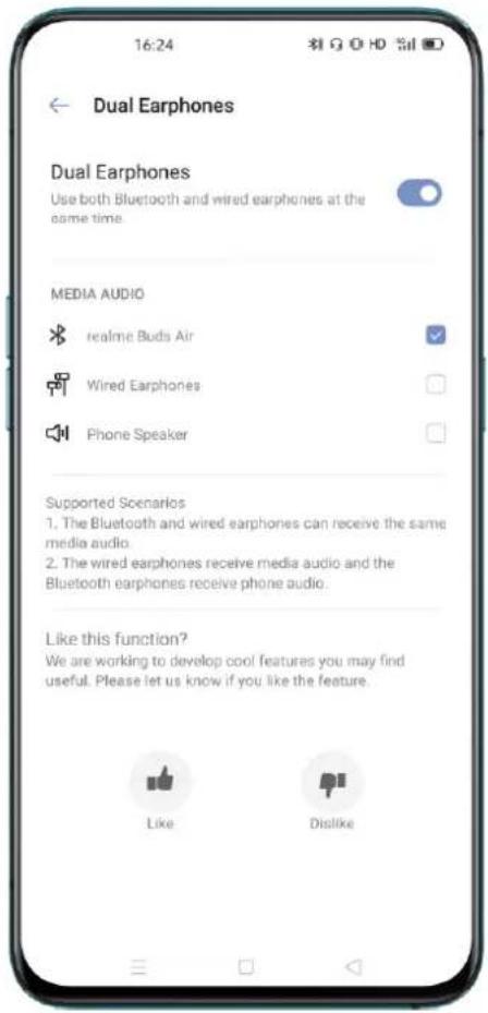 Realme Q3 Pro Special - Dual Earphones - 1