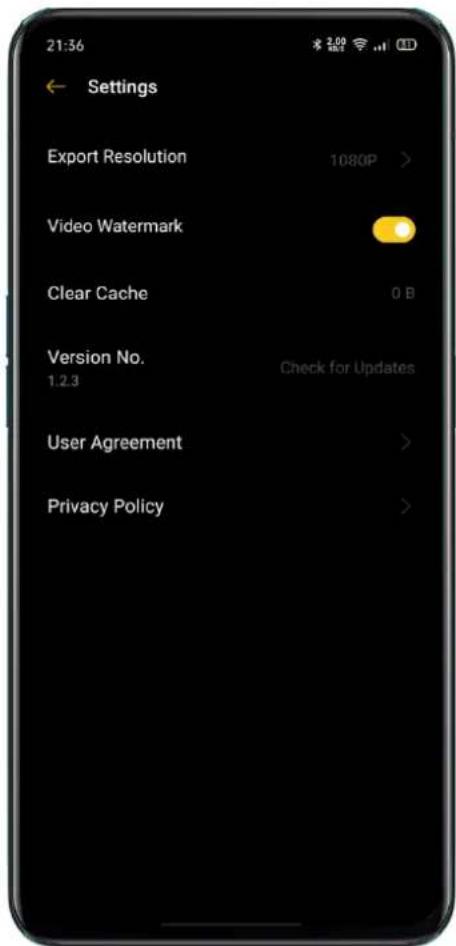 Realme Q3 Pro Special - Adding a Watermark - 1