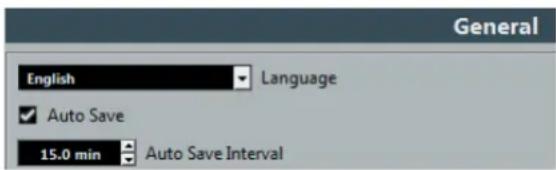 General English Language ✓ Auto Save 15.0 min Auto Save Interval