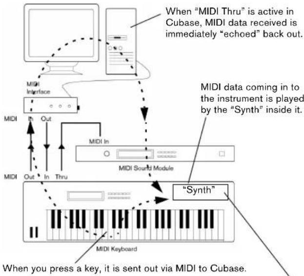 STEINBERG Cubase Elements 6 - Setting MIDI Thru and Local On/Off - 1
