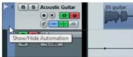 Acoustic Guitar Show/Hide Automation