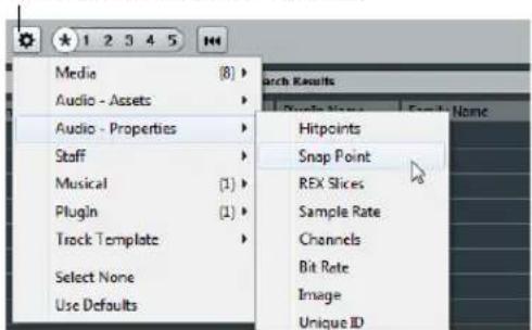 Media Audio - Assets Audio - Properties Staff Musical Plugin Track Template Select None Use Defaults Hitpoints Snap Point REX Slices Sample Rate Channels Bit Rate Image Unique ID