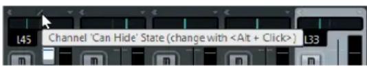 L45 Channel 'Can Hide' State (change with ) L33