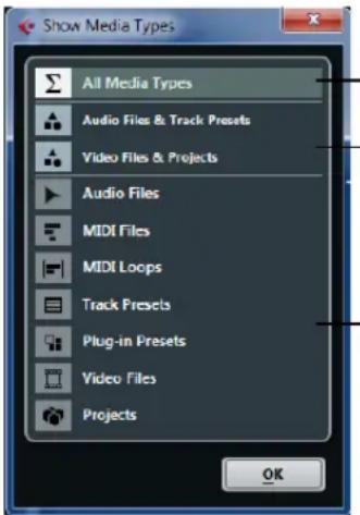 Show Media Types All Media Types Audio Files & Track Presets Video Files & Projects Audio Files MIDI Files MIDI Loops Track Presets Plug-in Presets Video Files Projects OK
