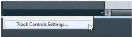 Track Controls Settings...