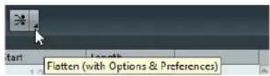Flatten (with Options & Preferences)