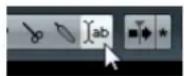 STEINBERG Cubase Elements 6 - Adding a text string - 1