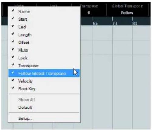Mode ✓ Name ✓ Start ✓ End ✓ Length ✓ Offset ✓ Muto ✓ Lock ✓ Transpose ✓ Follow Global Transport ✓ Velocity ✓ Root Key Show All Default Setup...