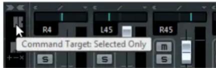 R4 L45 R45 Command Target: Selected Only