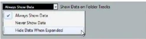 Always Show Data Show Data on Folder Tracks ✓ Always Show Data Never Show Data Hide Data When Expanded