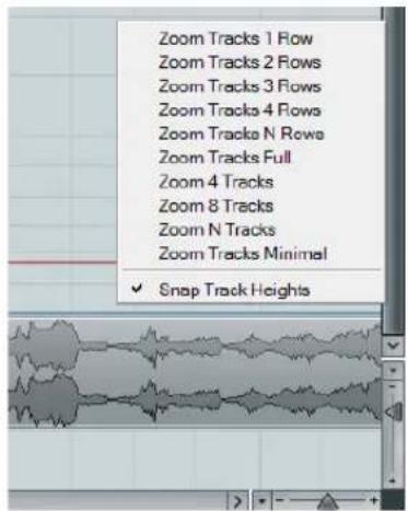 Zoom Tracks 1 Row Zoom Tracks 2 Rows Zoom Tracks 3 Rows Zoom Tracks 4 Rows Zoom Tracks N Rows Zoom Tracks Full Zoom 4 Tracks Zoom 8 Tracks Zoom N Tracks Zoom Tracks Minimal ✓ Snap Track Heights