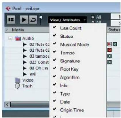 Pool - evil.cpr View / Attributes All Media Audio 02 flute 03 02 flute 03 02 tambot 023 Const 08 Oh I'm evil Video Trash Use Count Status Musical Mode Tempo Signature Root Key Algorithm Info Type Date Origin Time Status