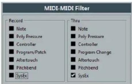 MIDI-MIDI Filter Record ■ Note ■ Poly Pressure ■ Controller ■ Program/Patch ■ Aftertouch ■ Pitchbend ■ SysEx Thru ■ Note ■ Poly Pressure ■ Controller ■ Program Change ■ Aftertouch ■ Pitchbend ✓ SysEx