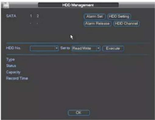 HDD Management SATA 1 2 Alarm Set HDD Setting Alarm Release HDD Channel HDD No. Set to Read Write Execute Type Status Capacity Record Time OK
