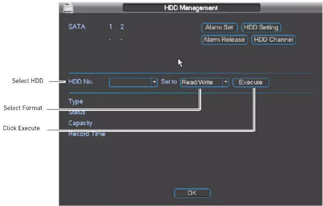 HDD Management SATA 1 2 Alarm Set HDD Setting Alarm Release HDD Channel Select HDD HDD No. Set to Read/Write Execute Type Select Format Status Capacity Click Execute Record Time OK