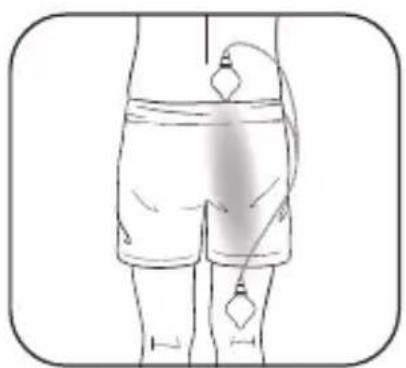 OMRON Total Power + Heat PM800 - LOWER BACK - 1