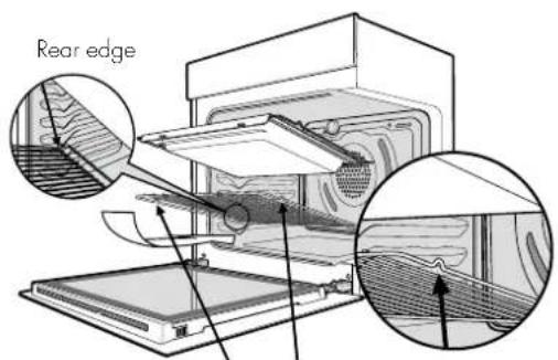 Rear edge