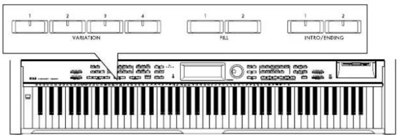 1 2 3 4 VARIATION FILL 1 2 1 2 INTRO/ENDING