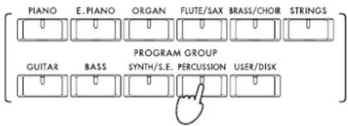 PIANO E. PIANO ORGAN FLUTE/SAX BRASS/CHOIR STRINGS PROGRAM GROUP GUITAR BASS SYNTH/S.E. PERCUSSION USER/DISK