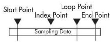 KORG kaptivator - Type 3: Specified Loop Point and End Point - 1