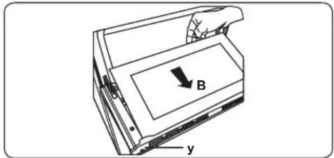 B y