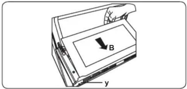 B y