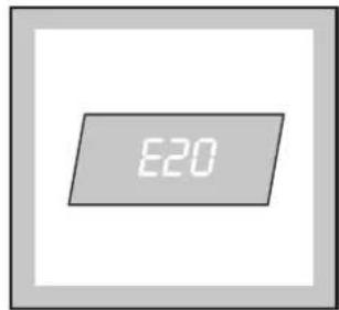 E20