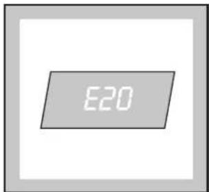 E20