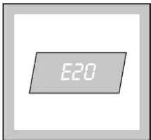 E20