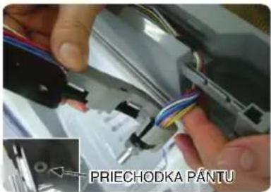 PRIECHODKA PÂNTU