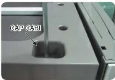 CAP CABI