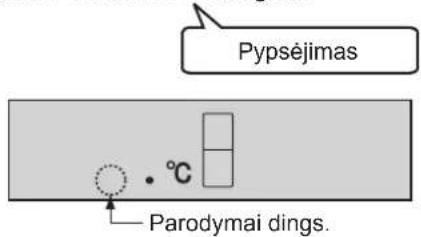 Pypsèjimas • °C Parodymai dings.