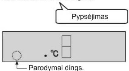 Pypsèjimas Parodymai dings.