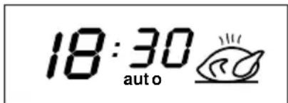 18:30 auto
