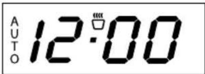 AUTO 12:00