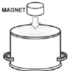 MAGNET
