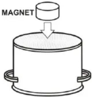 MAGNET