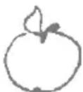 Zelmer 478 - Apple juice - 1