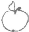Zelmer 486 - Apple juice - 1