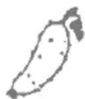 Zelmer 478.1 A - Uborkalé - 1