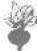 Zelmer 477A - Seatrop/Juice - 1
